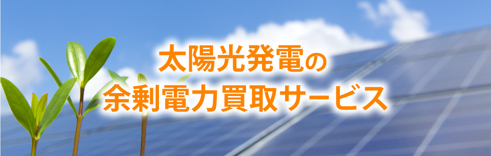 太陽光発電の余剰電力買取サービス