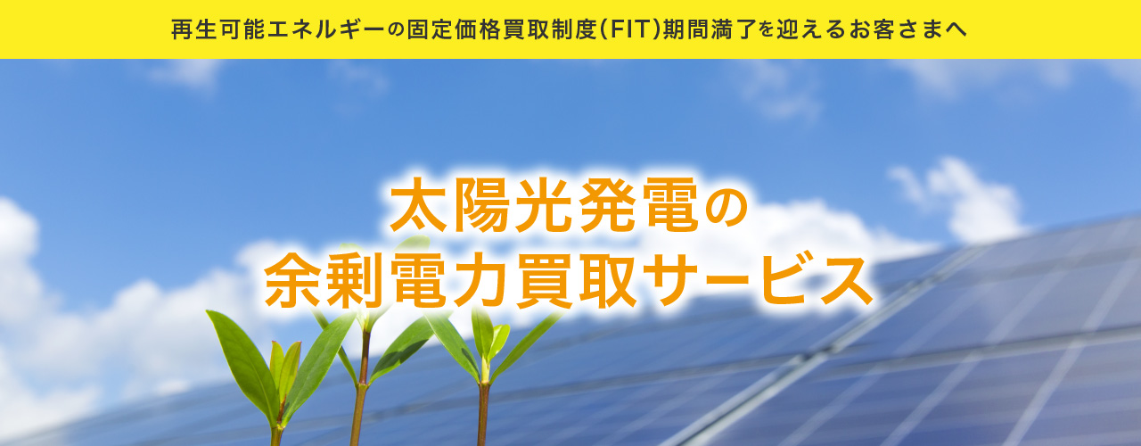 太陽光発電の余剰電力買取サービス